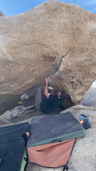 Love Machine v8, Joshua Tree - Beta Video from z.karcher