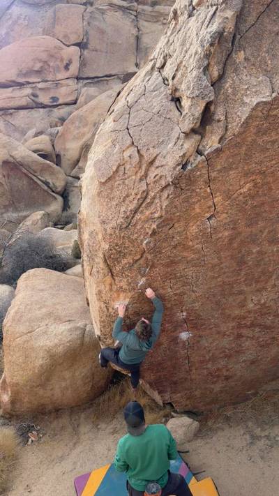 Penguins in Bondage v4, Joshua Tree - Beta Video from nicholasjsuth