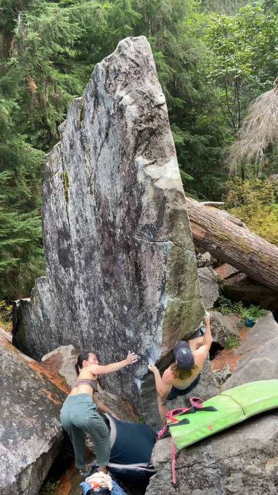 French Exit v4, Miller River - Beta Video from TayTayCantMantle