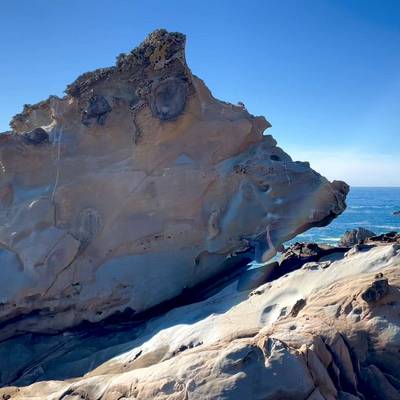 Triceratops v4, Salt Point - Beta Video from bobheadxi