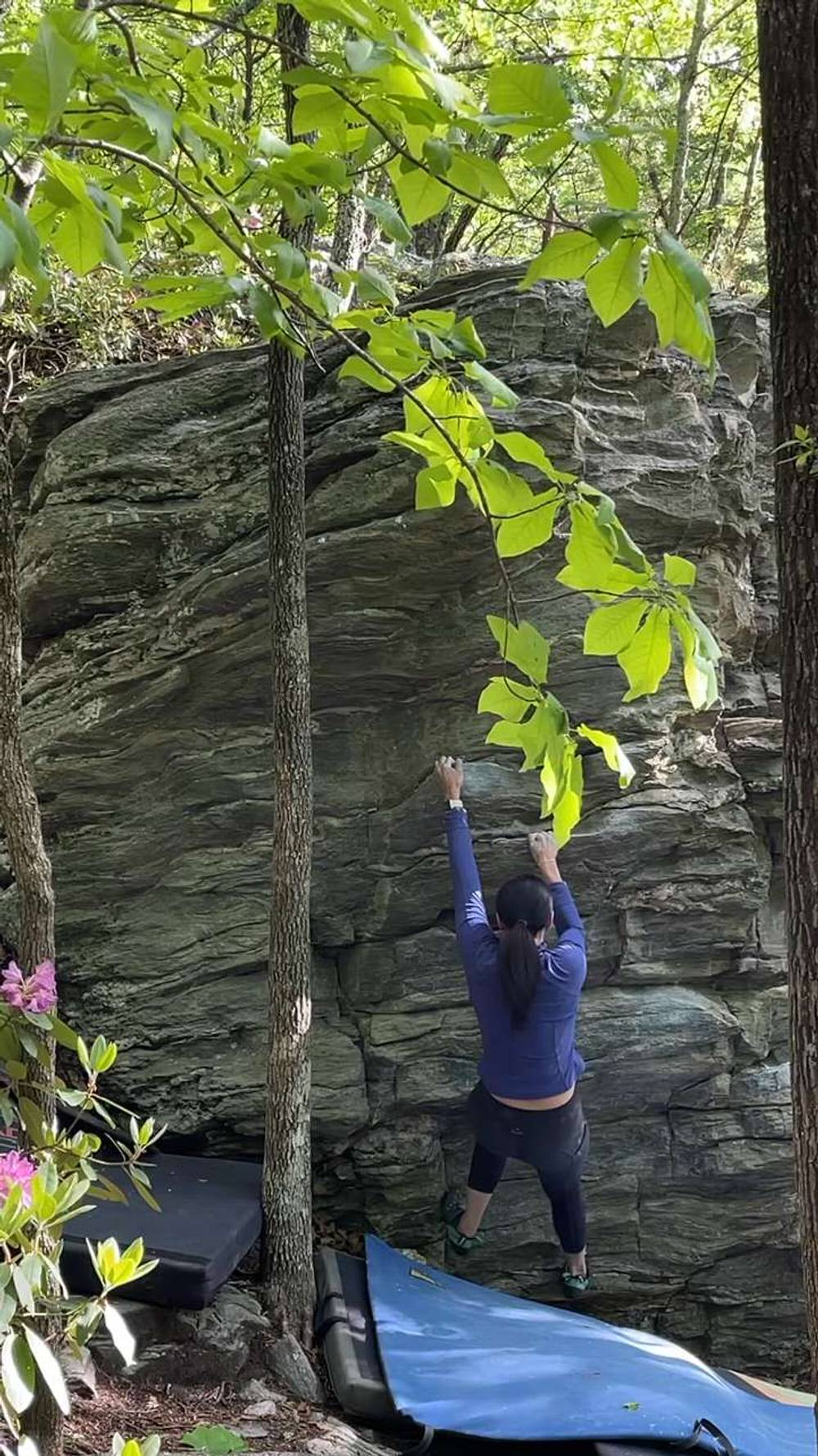 Childhood v1, Moore's Wall - Beta Video from JessMorante