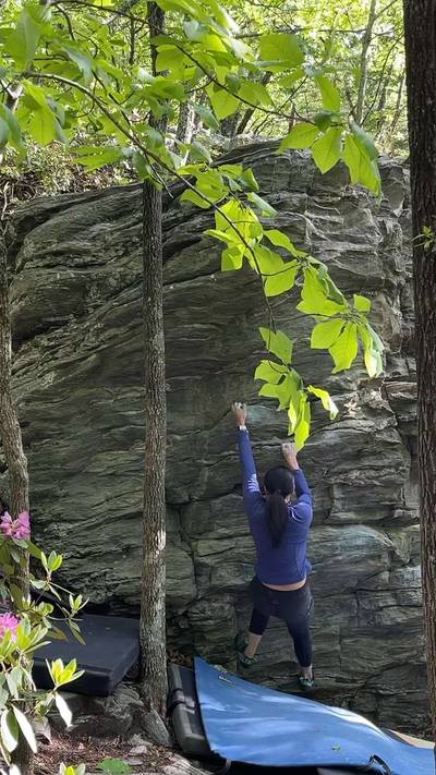 Childhood v1, Moore's Wall - Beta Video from JessMorante