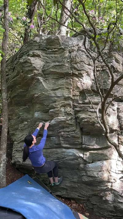 Cleverly Disguised as an Adult v0, Moore's Wall - Beta Video from JessMorante
