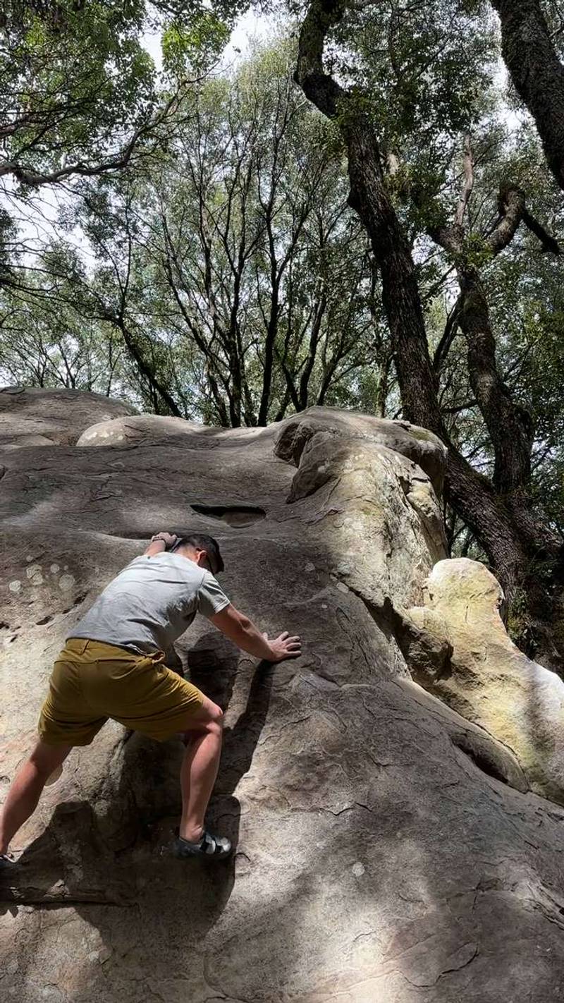 Indian Face v0, Indian Rock - Beta Video from qcrusher