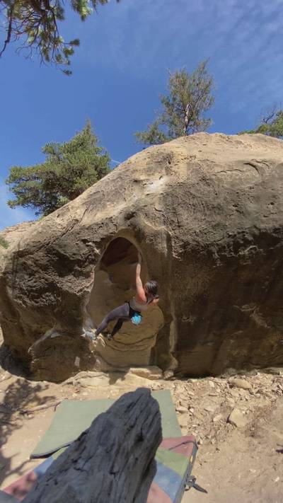 External Tulips v7, Joe's Valley - Beta Video from anniemng