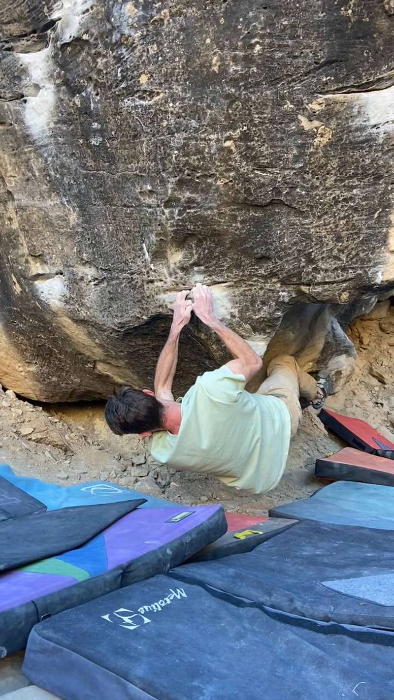 Neil DeGrasse Tyson v11, Joe's Valley - Beta Video from PalmerLarsen