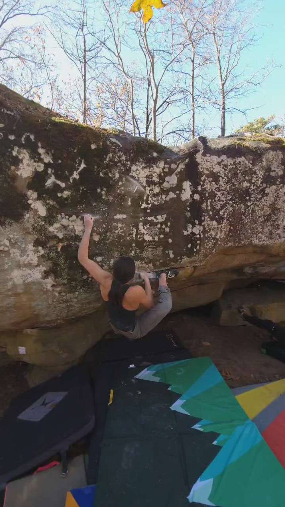 The Thief v8, Horse Pens 40 - Beta Video from LilyNguyen