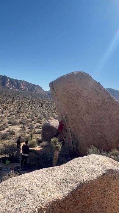 White Rastafarian v3, Joshua Tree - Beta Video from JPeregrina27