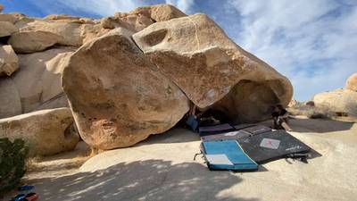 Yogi Variation v8, Joshua Tree - Beta Video from mcneely23