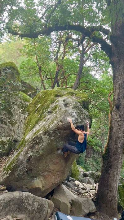 Thee Classic v4, Indian Rock - Beta Video from boyakasha311
