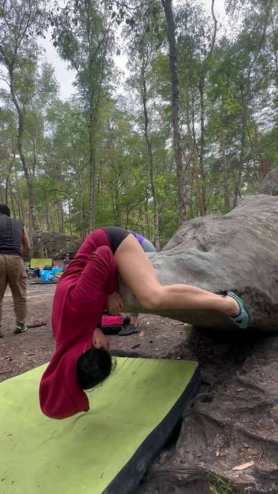 Crocodile v3, Fontainebleau - Beta Video from miishii__