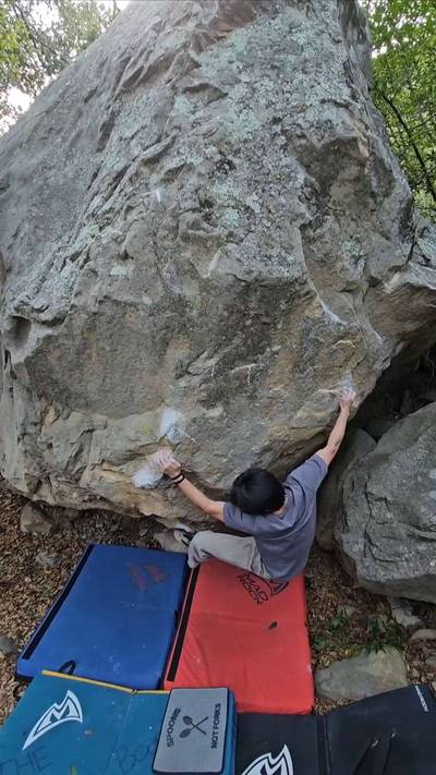 No Pigs For Rent v8, Santa Barbara - Beta Video from mojopin