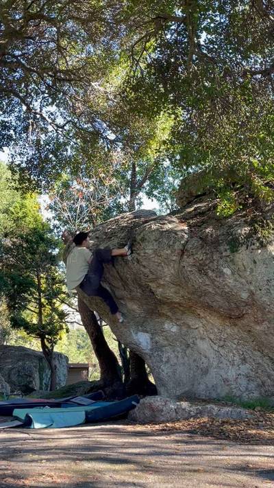 Hoop Dreams v6, Berkeley - Beta Video from ericps