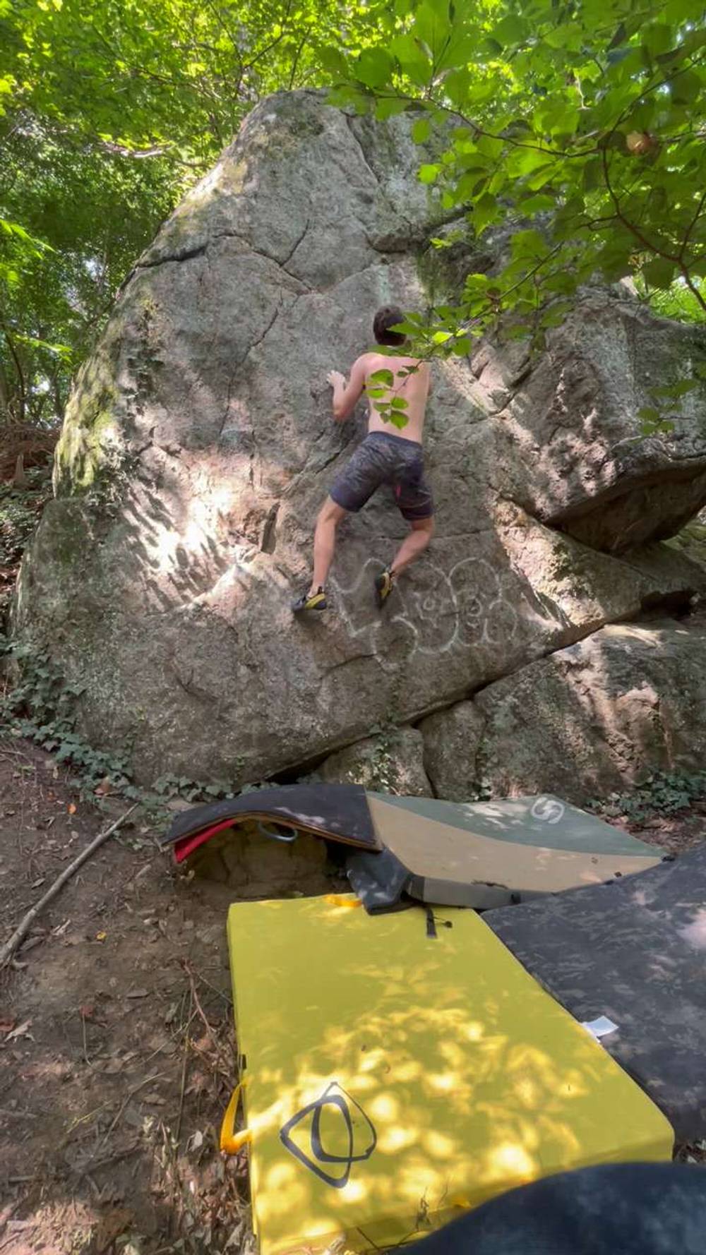 Zeus is Loose v5, Northwest Branch - Beta Video from 44