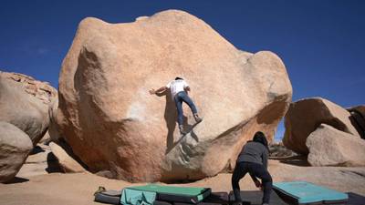 Stem Gem v4, Joshua Tree - Beta Video from breakingbeta