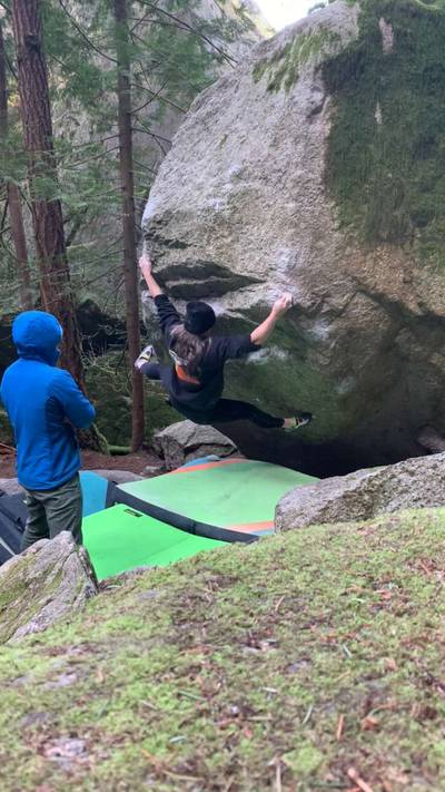 The Bee Professor v9, Squamish - Beta Video from mandoline