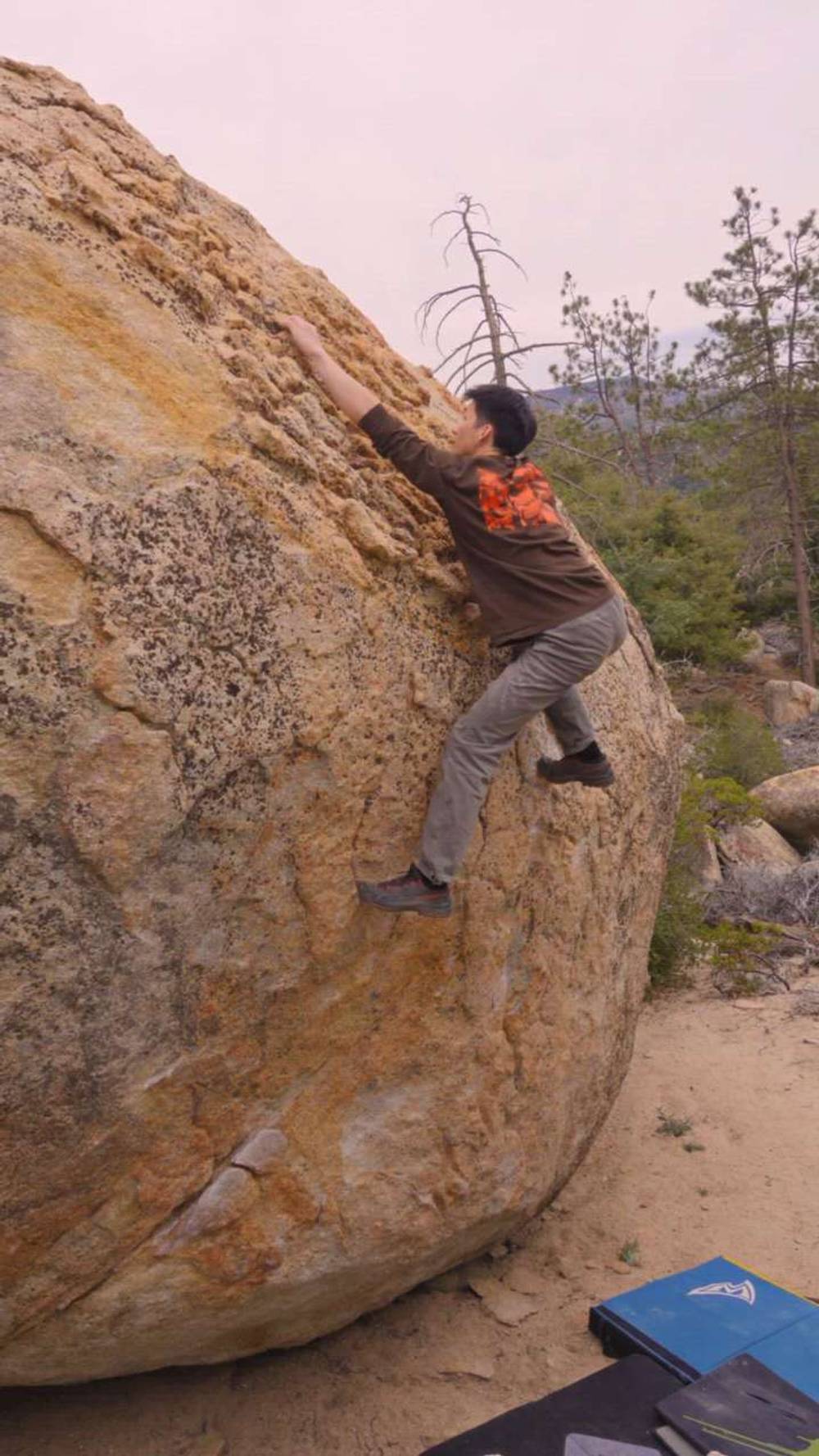 Diddy Dyno v5, Horse Flats - Beta Video from Dojyaaan