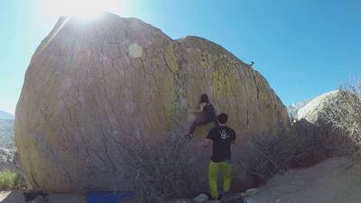 Green Wall Center v6, Bishop - Beta Video from jaylin