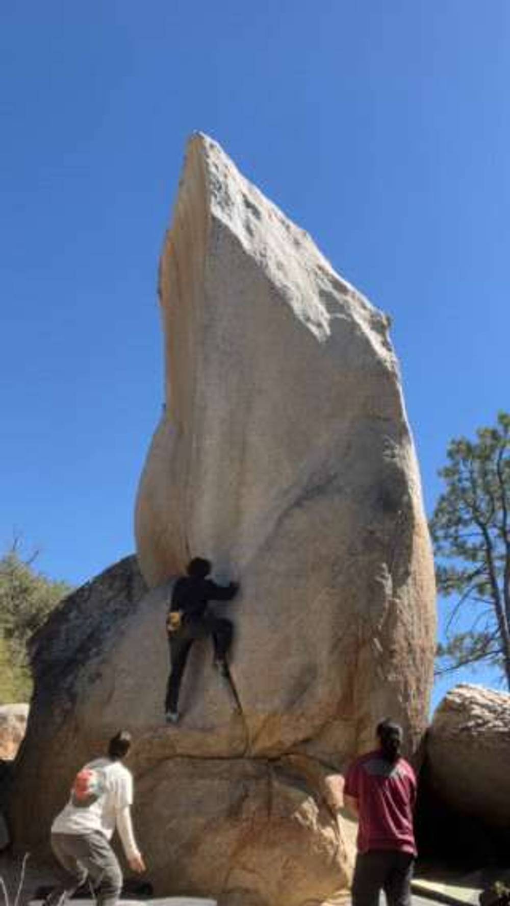 Dragon Face v1, Horse Flats - Beta Video from IronToto