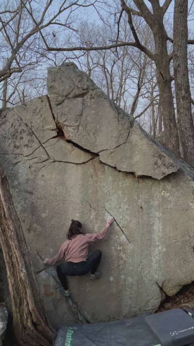 Earl the Squirrel v7, The Citadel - Beta Video from lauramarie43