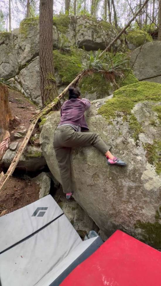 Painted Spoodle v5, Vancouver - Beta Video from Leftc0ast