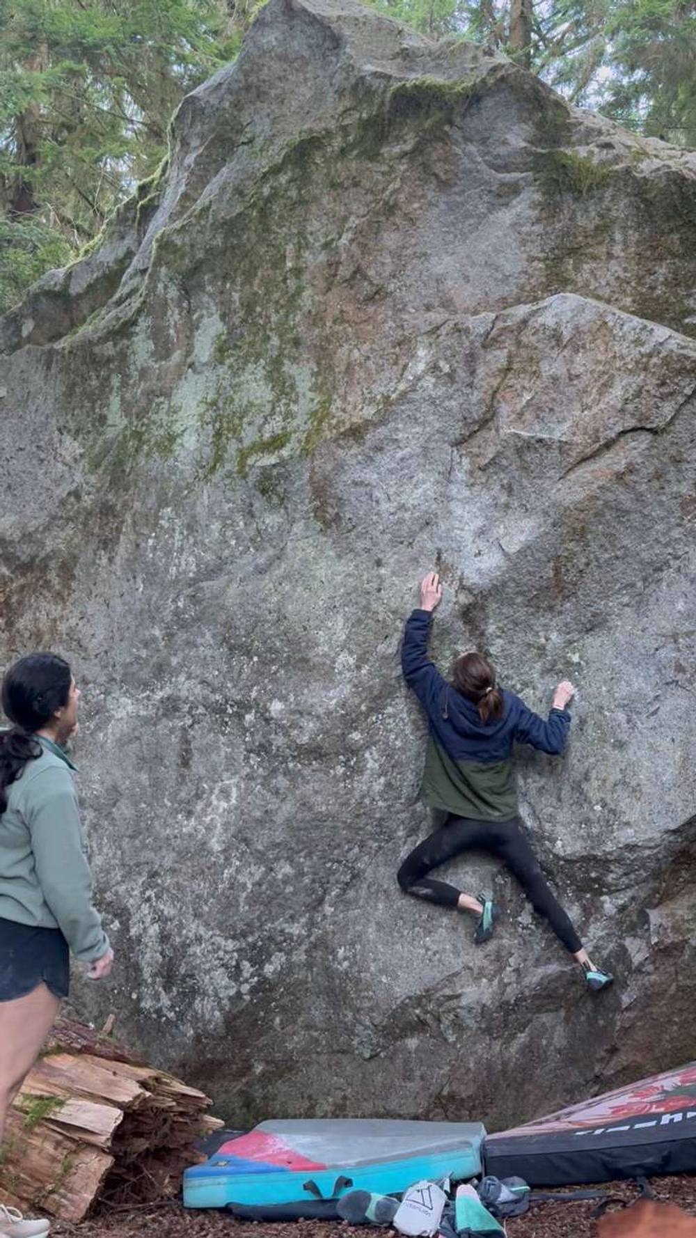 monkey mind v4, North Bend - Beta Video from nicolemaksi