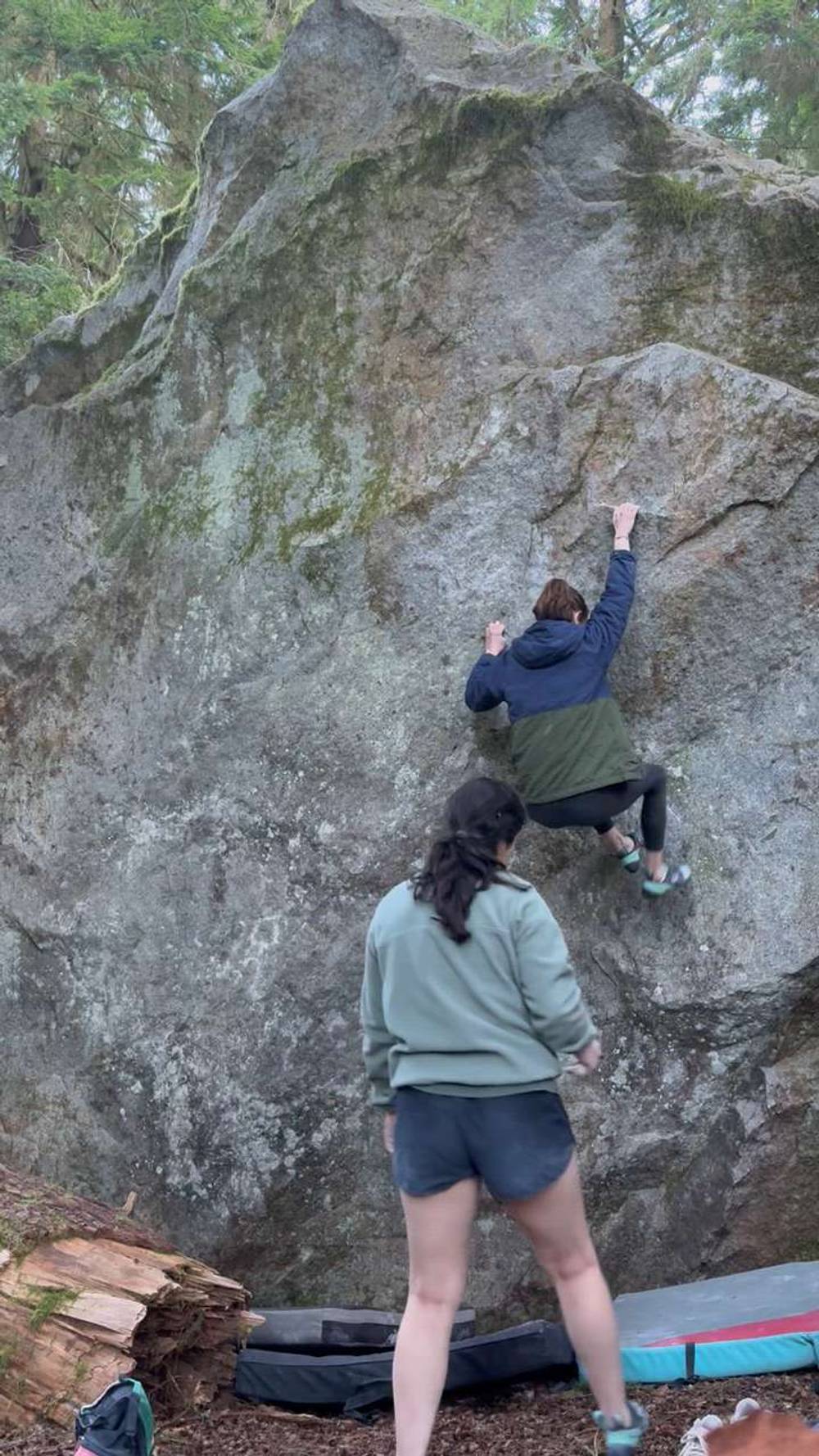 left monkey v3, North Bend - Beta Video from nicolemaksi
