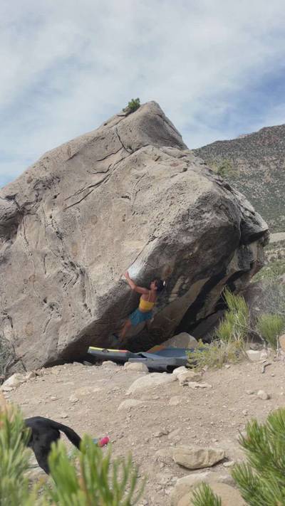 Pitbull v6, Joe's Valley - Beta Video from ahleeneh