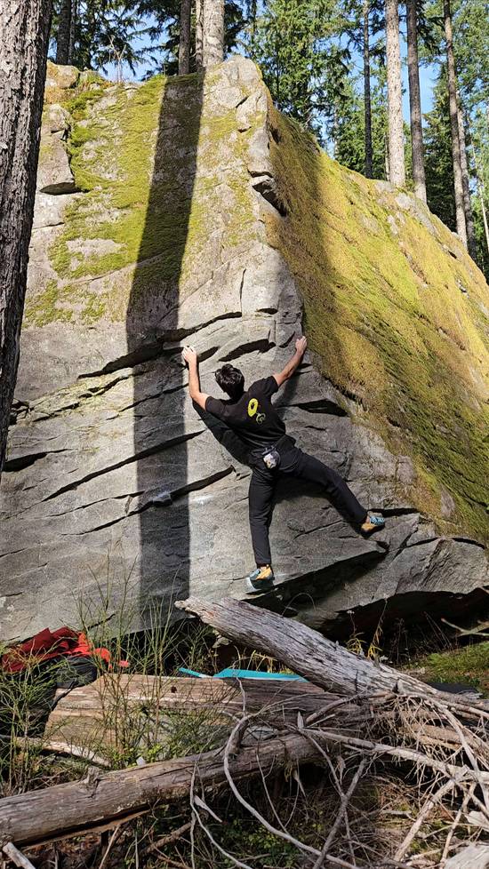 Polish King v5, Gold Bar - Beta Video from vpinto