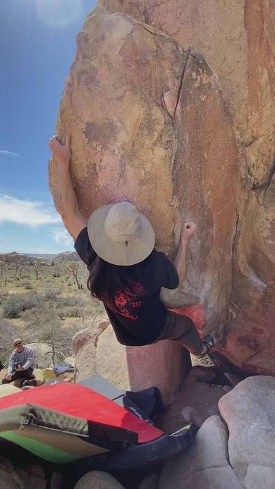 Mulligan Variation v7, Joshua Tree - Beta Video from seanvanderluit