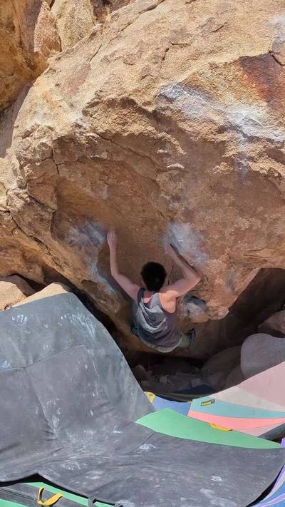 Turtle v6, Joshua Tree - Beta Video from steven310