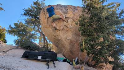 Swiss Cheese v0, Horse Flats - Beta Video from meez