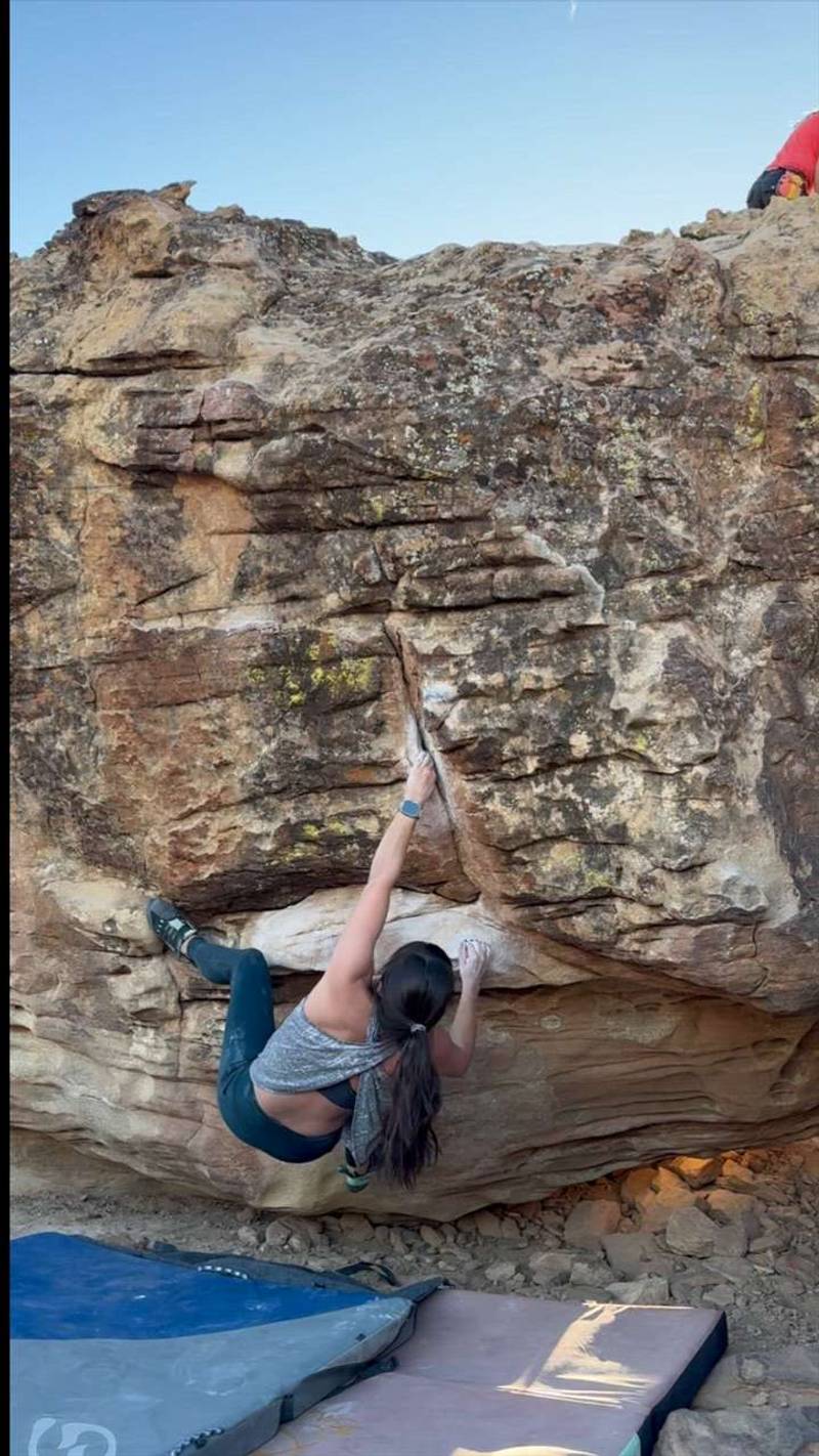 V4 Vendetta v4, Moe's Valley - Beta Video from LittleBetaBird
