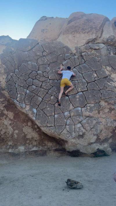 Dragon Scales vB, Joshua Tree - Beta Video from beefs