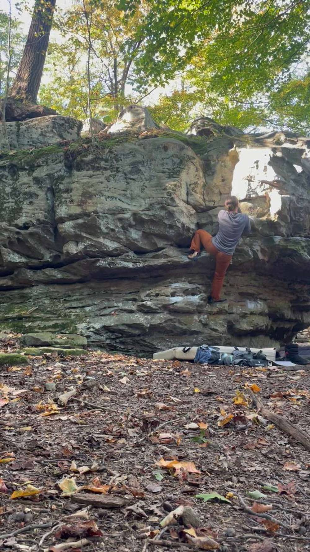 Chicken of the Woods v0, Coopers Rock - Beta Video from BiffingIt