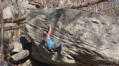 Three Little Birds v4, Rumbling Bald - Beta Video from kcrave1103