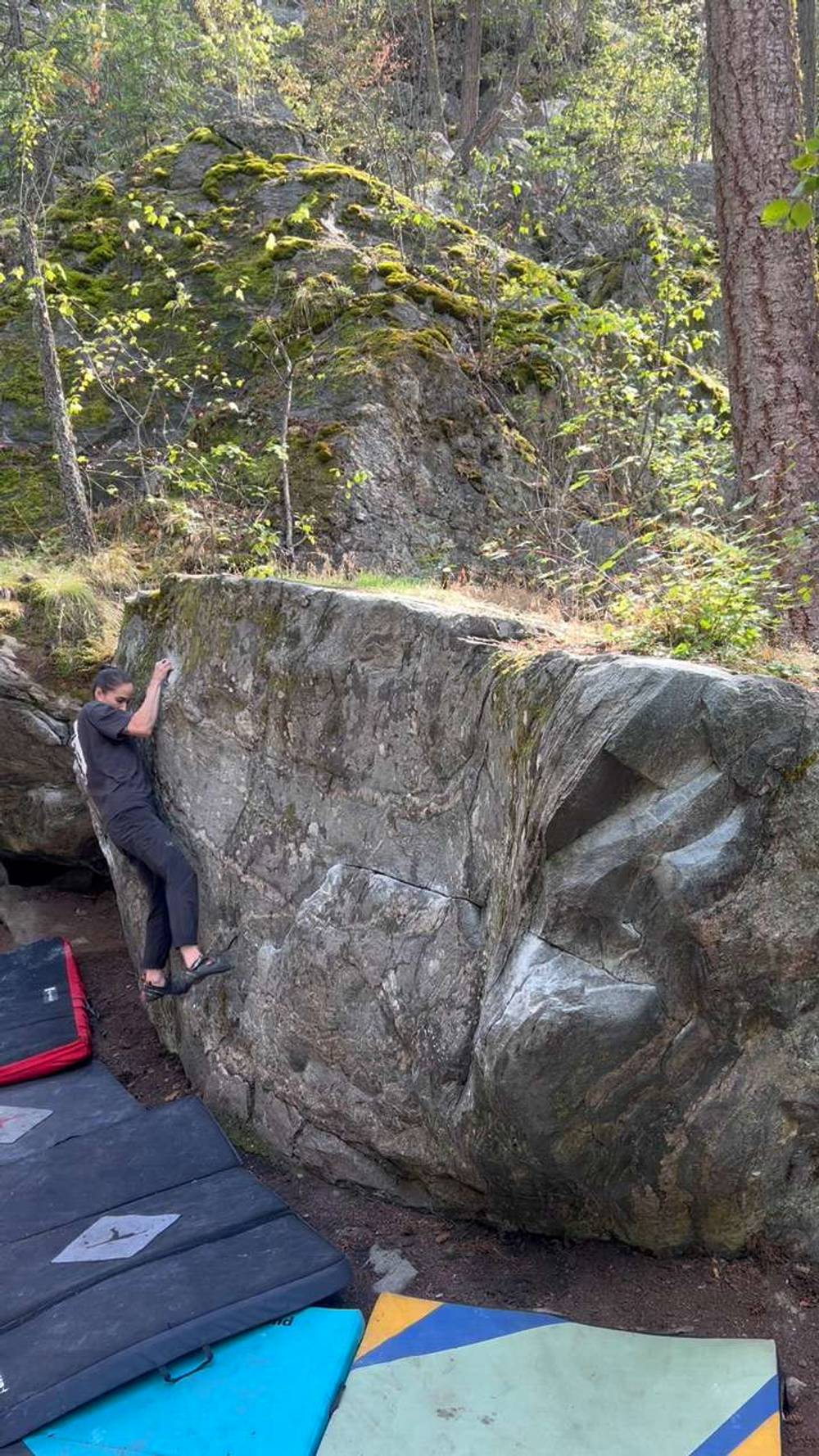 The Wee Chipee v6, Vernon - Beta Video from sarahyamamoto.ishida
