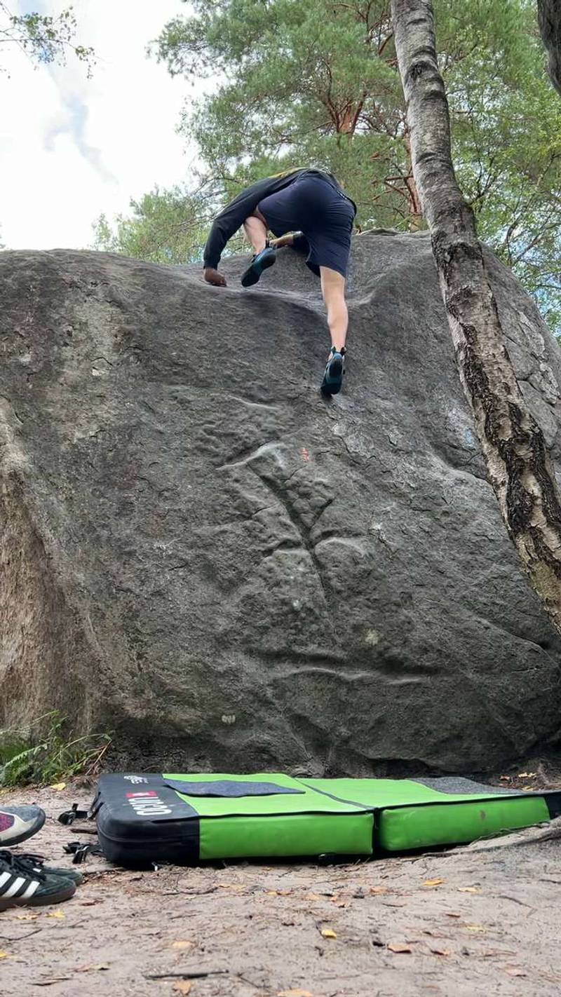 Estelle v5, Fontainebleau - Beta Video from nutelluca