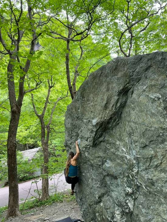 Cull the Herd v9, Smugglers' Notch - Beta Video from Alexandra