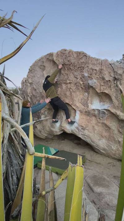 Chuckawalla v1, Joshua Tree - Beta Video from average.jug