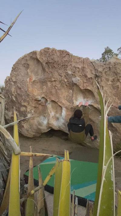 Flintlock Dyno v0, Joshua Tree - Beta Video from average.jug