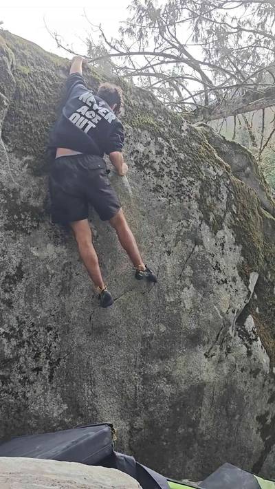 Flower v7, Index - Beta Video from Andre