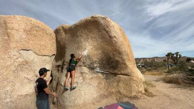 Saturday Night Live v4, Joshua Tree - Beta Video from roseyallday