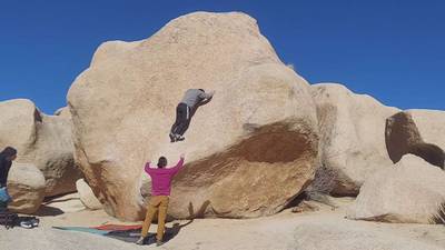 Stem Gem v4, Joshua Tree - Beta Video from j.k0000