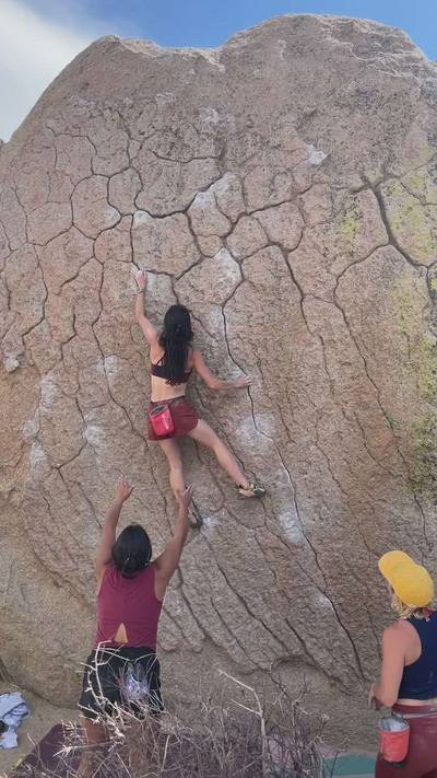 Green Wall Essential v2, Bishop - Beta Video from mandykeathley