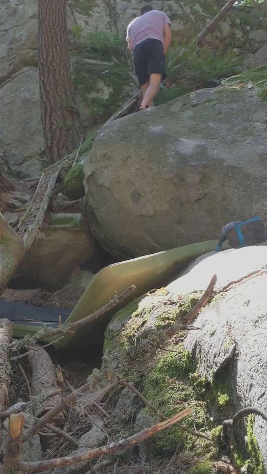 Painted Spoodle v5, Vancouver - Beta Video from Markam