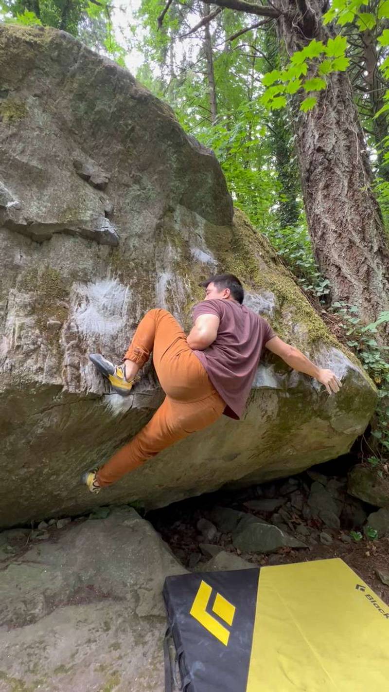 Fish and Grits v7, Carver - Beta Video from Scooters