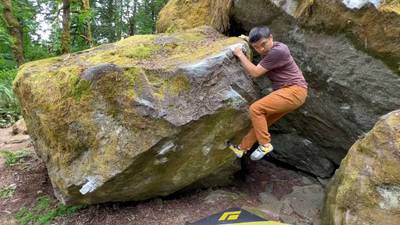 Hoik v6, Carver - Beta Video from Scooters