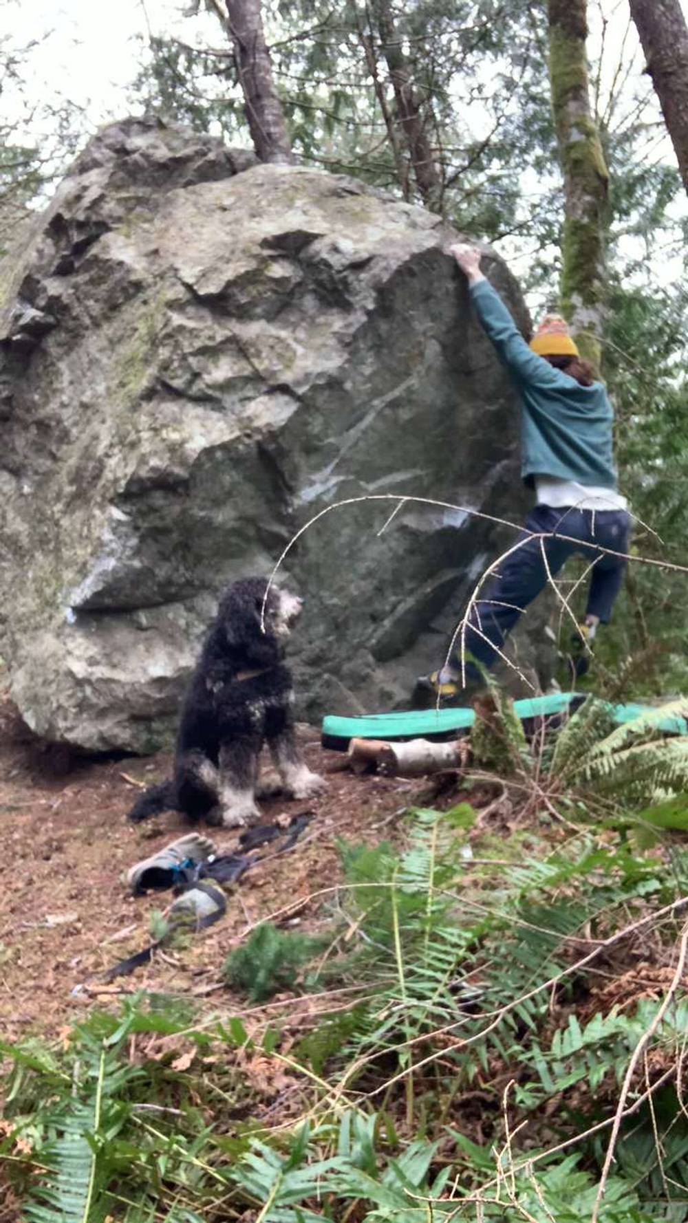 Nun Cho Ga v2, North Bend - Beta Video from Izlop