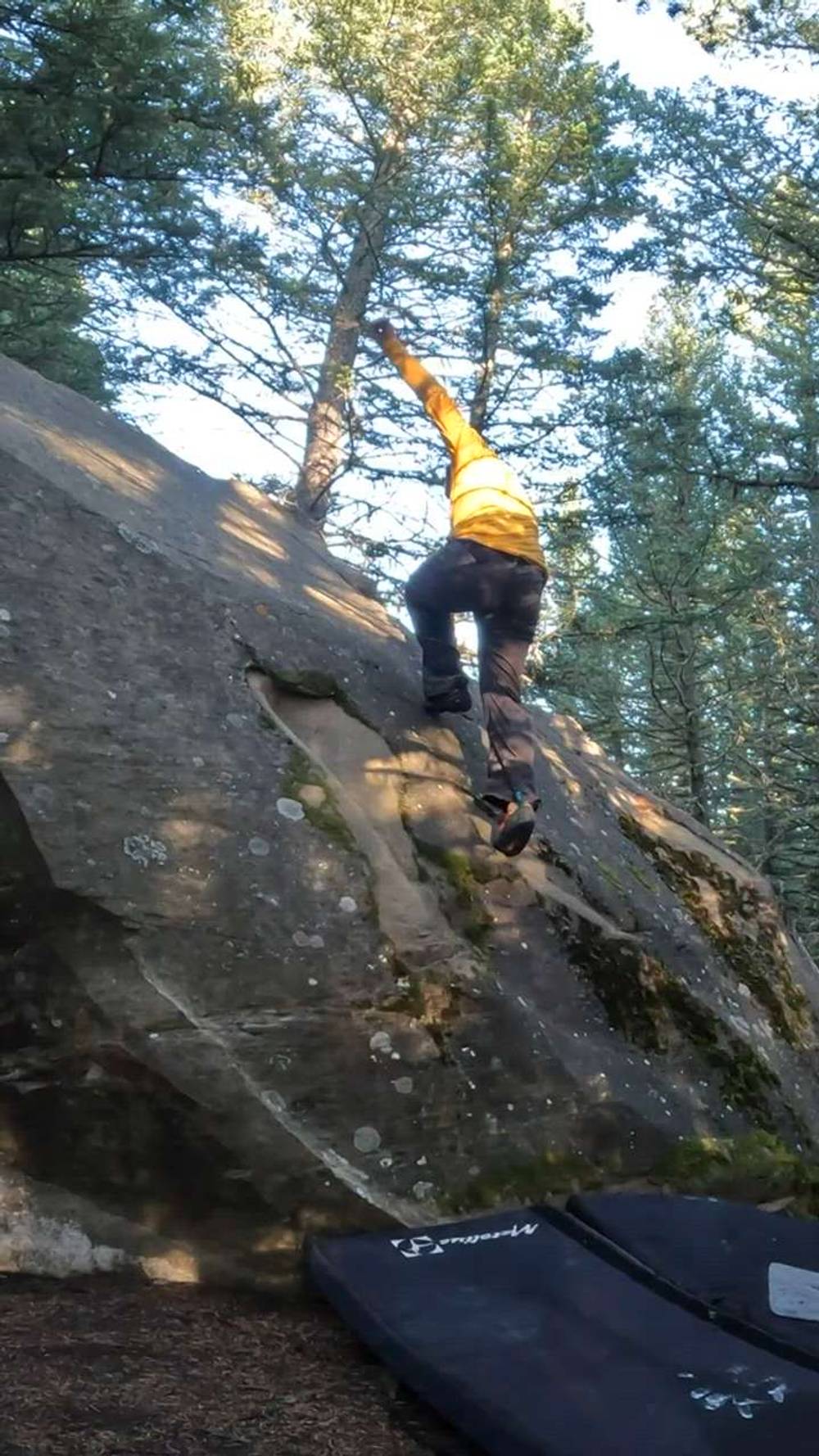 Show Me Your Hands v0, Porcupine Hills - Beta Video from Aibert